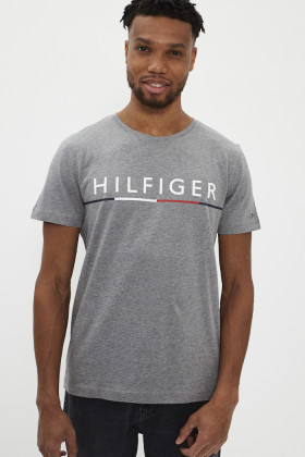 Tee shirt coton avec logo brodé Homme TOMMY HILFIGER à prix dégriffé -  Degriffstock